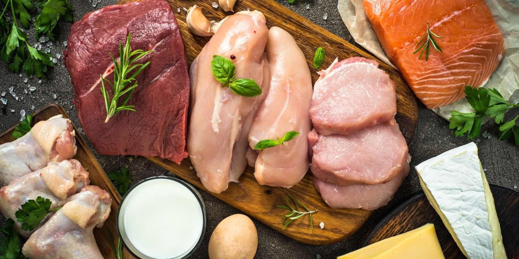 zdroje živočišných bílkovin
